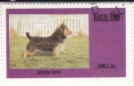 Stamps Nagaland -  Perro de raza- australian terrier