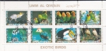 Stamps United Arab Emirates -  AVES DEL PARAÍSO