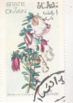 Stamps Oman -  FLORES-