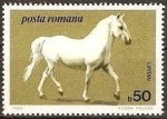 Sellos de Europa - Rumania -  Caballos