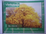 Sellos de America - Venezuela -  Protección de la Biodiversidad Venezolana - Árbol Araguaney (Handroanthus Chrysanthus)