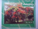 Sellos de America - Venezuela -  Protección de la Biodiversidad Venezolana - Árbol Flanboyant (Delonix Regia)