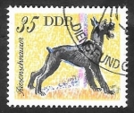 Stamps Germany -  1835 - perro gran schnauzer