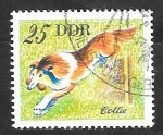 Sellos de Europa - Alemania -  1834 - perro collie