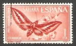 Stamps Morocco -  sahara español - 227 - Celerio lineata