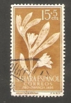 Stamps Morocco -  sahara español - 127 - Sesuvium portulacastrum