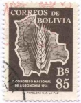 Sellos de America - Bolivia -  Conmemoracion del primer congreso nacional de Agronomia