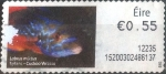 Stamps Ireland -  ATM#25 intercambio, 0,20 usd, 55 c. 2011