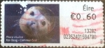 Stamps Ireland -  ATM#46 cr4f intercambio, 0,20 usd, 60 c. 2013