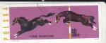 Stamps Poland -  CABALLOS DEPORTIVOS