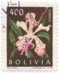 Sellos de America - Bolivia -  Flora boliviana