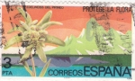 Stamps Spain -  PROTEGE LA FLORA (31)