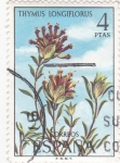 Stamps Spain -  THYMUS LONGIFLORUS (32)