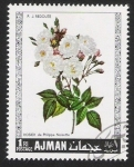 Stamps United Arab Emirates -  Rosas, Ajman