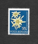 Sellos de Europa - Rumania -  2333 - Flores Protegidas