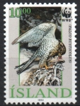 Stamps Iceland -  FALCO  RUSTICOLUS  ALIMENTADO  POLLUELOS