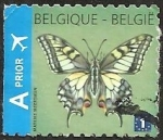 Stamps Europe - Belgium -  Swallowtail (Papilio machaon) - Left imperforate