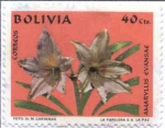 Stamps Bolivia -  Flora boliviana