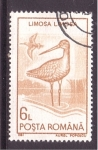 Sellos del Mundo : Europe : Romania : Limosa limosa