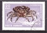 Stamps Romania -  serie- Moluscos y crustáceos