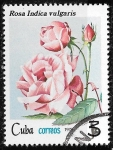 Stamps Cuba -  Cuba-cambio