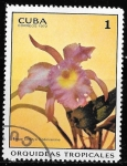 Stamps Cuba -  Cuba-cambio