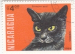 Stamps Nicaragua -  gato birmano azul