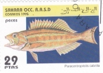 Sellos de Africa - Marruecos -  peces- paracentropristis cabrilla