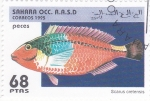 Stamps Morocco -  peces- scarus cretensis