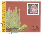 Stamps Nicaragua -  FLOR DE CAPTUS 