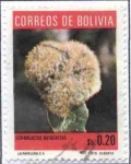 Sellos del Mundo : America : Bolivia : Flora boliviana - Cactus