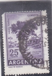 Sellos de America - Argentina -  RIQUEZA FORESTAL 