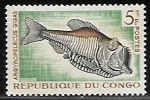 Sellos de Africa - Repblica del Congo -  Greater Silver Hatchetfish (pez)