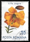 Stamps Romania -  Rumanía-cambio