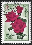 Stamps Hungary -  Rosas