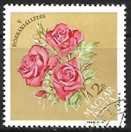 Stamps Hungary -  Rosas