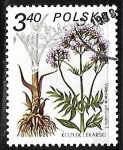 Stamps Poland -  Valeriana offcinalis