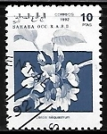 Sellos de Africa - Marruecos -  Flores