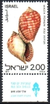 Stamps Israel -  CONCHAS  MARINAS.  MALEA  POMUM  