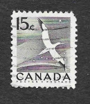 Sellos de America - Canad� -  343 - Gaviota