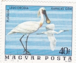 Sellos de Europa - Hungra -  AVES- platalea leucorodia 