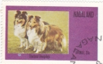 Stamps Nagaland -  Perros de raza- shetland sheepdogs