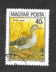 Stamps Hungary -  2659 - Año Europeo de la Protección de la Naturaleza