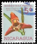 Stamps Nicaragua -  Nicaragua-cambio