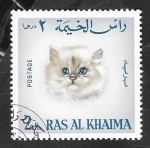 Sellos de Asia - Emiratos rabes Unidos -  Ras Al Khaima - 35 - Gato