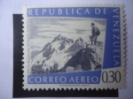 Sellos de America - Venezuela -  Pico Bolívar, 4.978msnm (Santos Marquina-Mérida)