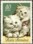 Stamps Romania -  Gatos domésticos