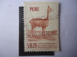 Sellos de America - Per� -  Vicuña-Vicuña Peruana, Símbolo en el Escudo Nacional- (Sello 1960)