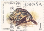 Stamps Spain -  TORTUGA (35)