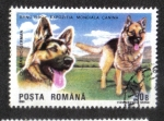 Stamps Romania -  Perros